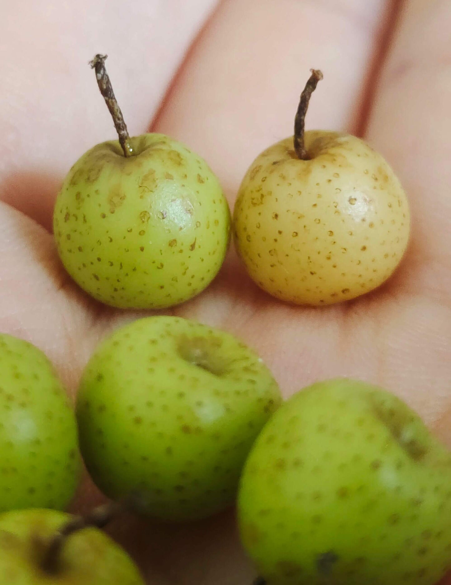 This miniature fruit pear would be a wonderful addition to any doll's house kitchen or dining room table. Material: Clay