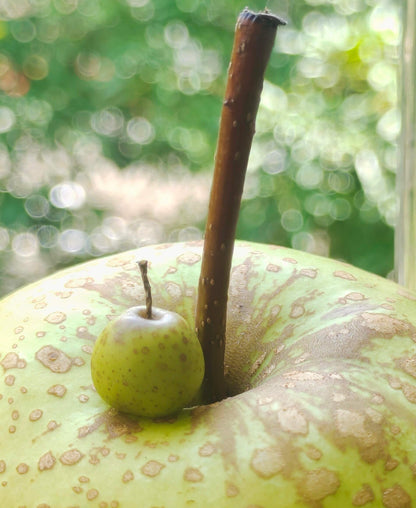 This miniature fruit pear would be a wonderful addition to any doll's house kitchen or dining room table. Material: Clay