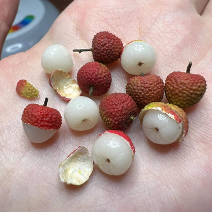 This miniature fruit lychee would be a wonderful addition to any doll's house kitchen or dining room table. Material: Clay Size: 0.8cm / 0.32in