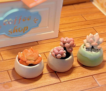 Succulents are a diverse group of plants. They are found in a wide range of shapes, sizes, and colors, making them popular choices for indoor and outdoor dollhouse gardens. Material: Handmade from Clay Scale: 1/12 Suitable for Blythe, Barbie, Paola and other dolls with a height of 25-40cm (10-15.8 inches).