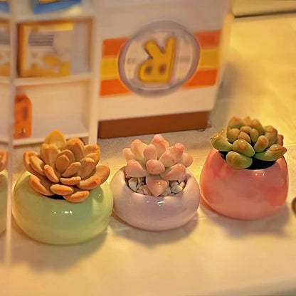 Succulents are a diverse group of plants. They are found in a wide range of shapes, sizes, and colors, making them popular choices for indoor and outdoor dollhouse gardens. Material: Handmade from Clay Scale: 1/12 Suitable for Blythe, Barbie, Paola and other dolls with a height of 25-40cm (10-15.8 inches).