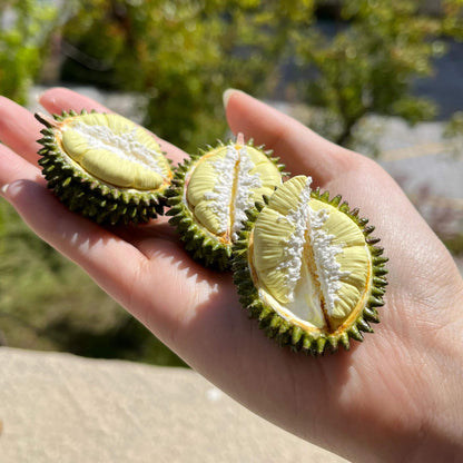 Miniature fruit half durian for a dollhouse. Miniature fruit half durian made of polymer clay. Miniature fruit half durian can be used in doll kitchen, doll grocery store, doll food, collection, diorama decoration.