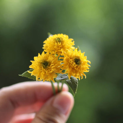 Miniature for dolls, dollhouses, roomboxes. Suitable for Blythe, Barbie, Paola and other dolls with a height of 25-40cm (10-15.8 inches). Common names: Sunflower Teddy Bear Scientific Name: Helianthus annuus Material: Handmade from Clay