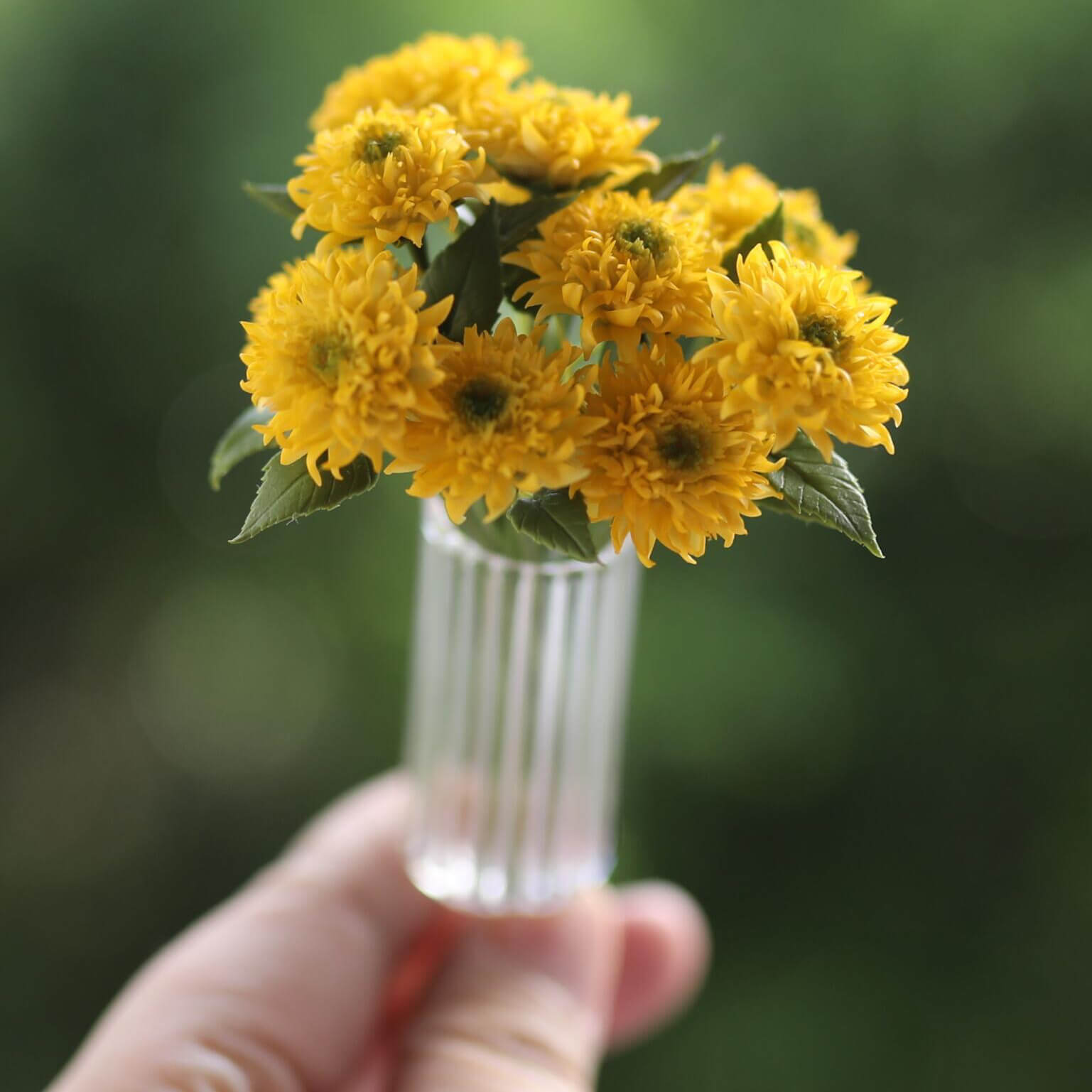 Miniature for dolls, dollhouses, roomboxes. Suitable for Blythe, Barbie, Paola and other dolls with a height of 25-40cm (10-15.8 inches). Common names: Sunflower Teddy Bear Scientific Name: Helianthus annuus Material: Handmade from Clay