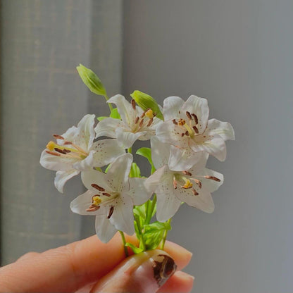 Lily Eyeliner is a very fragrant Longiflorum Asiatic Lily that has pristine white petals that are edged with a deep purple nature's-own eyeliner. Miniature for dolls, dollhouses, roomboxes. Suitable for Blythe, Barbie, Paola and other dolls with a height of 25-40cm (10-15.8 inches). Material: Handmade from Clay