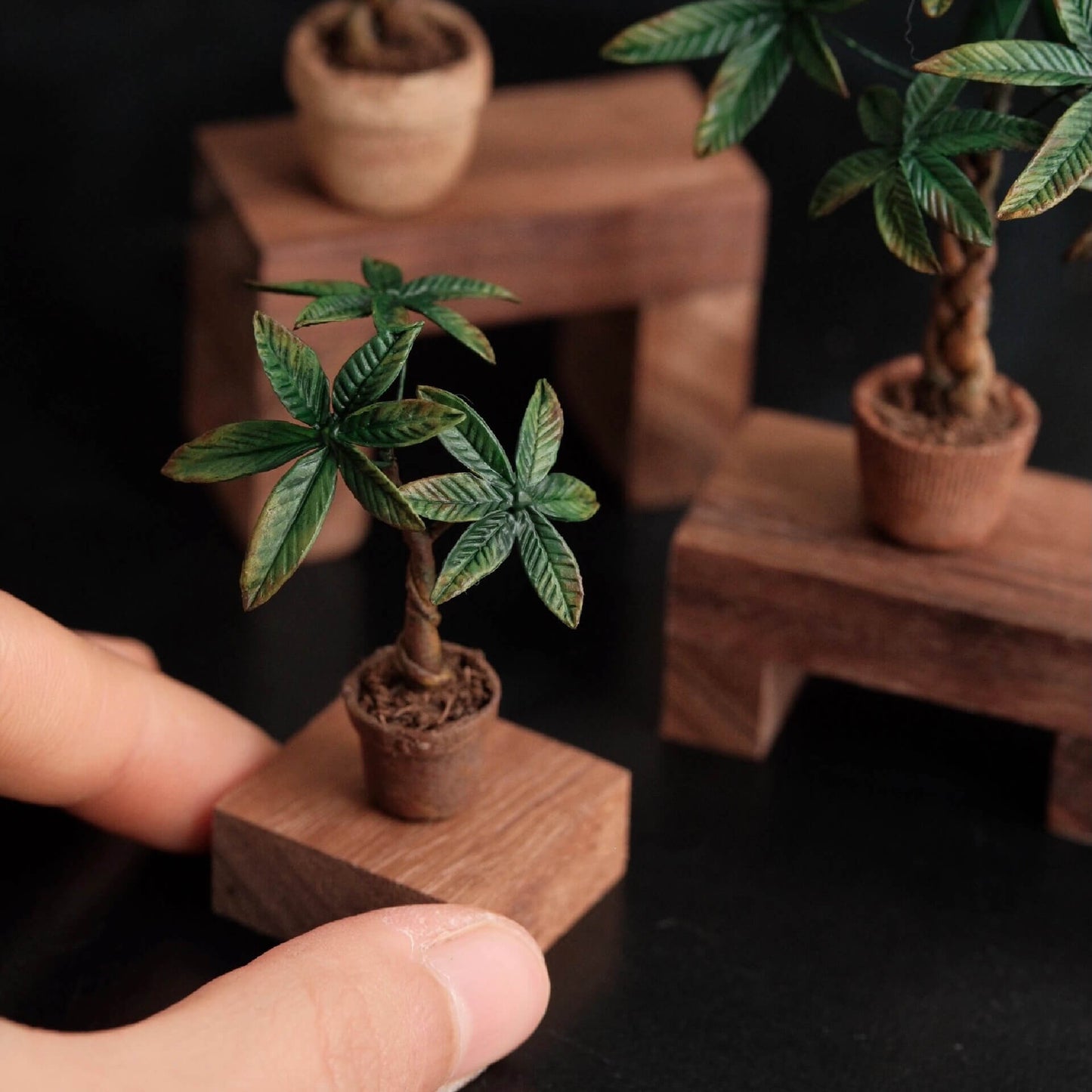Money trees, also known as Pachira aquatica, are considered a symbol of luck and prosperity. Scale: 1:6; 1:12 Material: Handmade from Clay