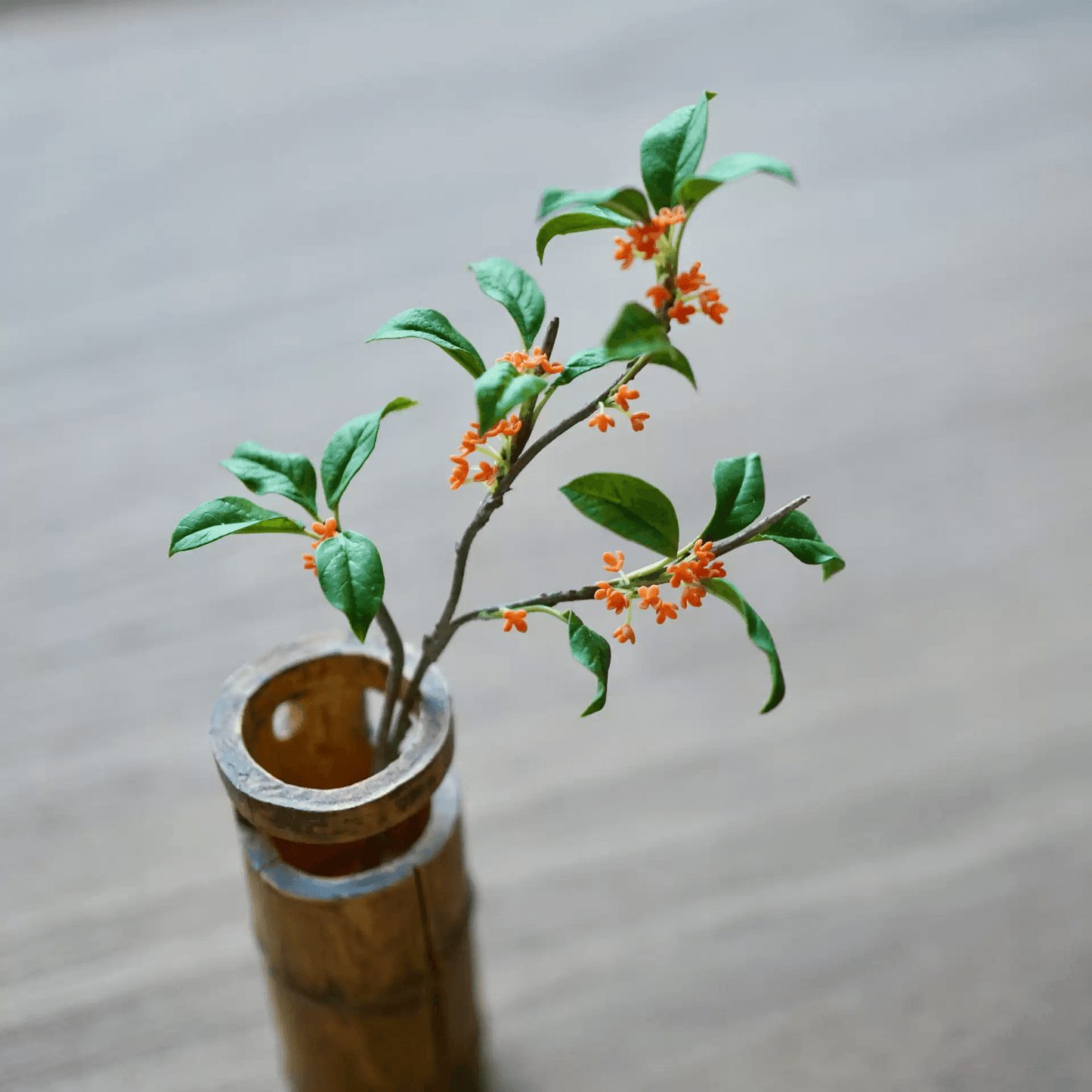 Osmanthus fragrans var. Aurantiacus commonly known as Orange Flowering Tea Olive. This variety will only flower in the fall, but when it does, it truly stops traffic.  Dollhouse Garden Plants Handmade from Clay.