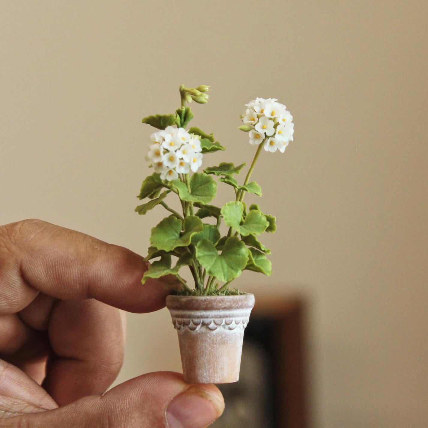 Pelargonium (aka common geraniums) are colorful summer-flowering plants that are popular for hanging baskets, pots, and also garden beds. Miniature for dolls, dollhouses, roomboxes. Suitable for Blythe, Barbie, Paola and other dolls with a height of 25-40cm (10-15.8 inches). Material: Handmade from Clay