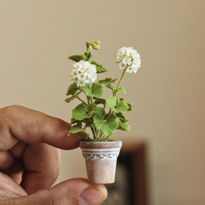 Pelargonium (aka common geraniums) are colorful summer-flowering plants that are popular for hanging baskets, pots, and also garden beds. Miniature for dolls, dollhouses, roomboxes. Suitable for Blythe, Barbie, Paola and other dolls with a height of 25-40cm (10-15.8 inches). Material: Handmade from Clay