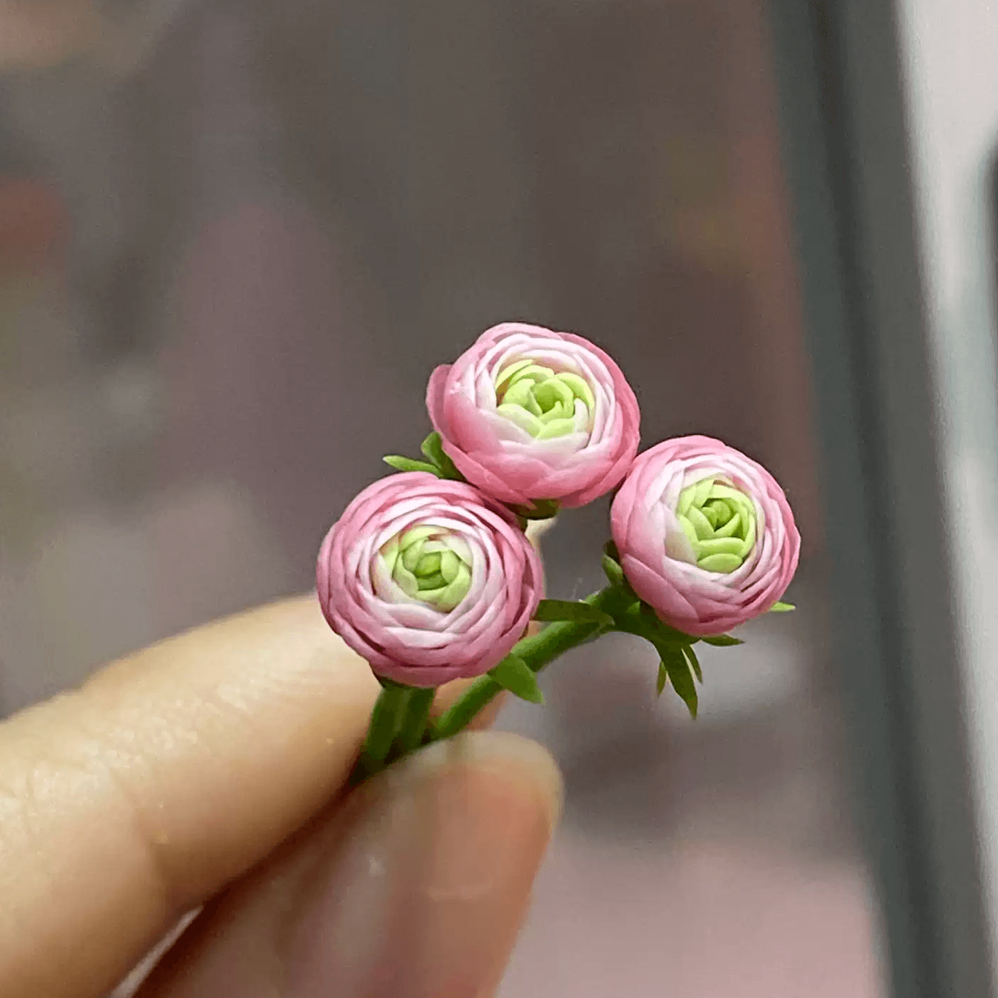 Persian Buttercup (Ranunculus Asiaticus) is a tuberous perennial with long-stalked, deeply lobed leaves. Branched flowering stems bear one to four single, cup-shaped, red, pink, yellow or white flowers with black centres. Miniature for dolls, dollhouses, roomboxes. Suitable for Blythe, Barbie, Paola,and other dolls with a height of 25-40cm (10-15.8 inches).