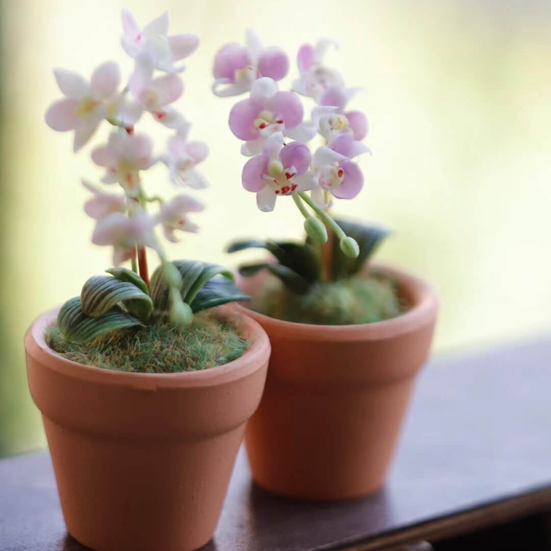 Dollhouse Miniature Phalaenopsis Orchid Handmade Clay Flowering Plant in Pot is a unique design that incorporates the beauty, style, and grace of a real Phalaenopsis orchid&nbsp;with its own, original and miniature twist!