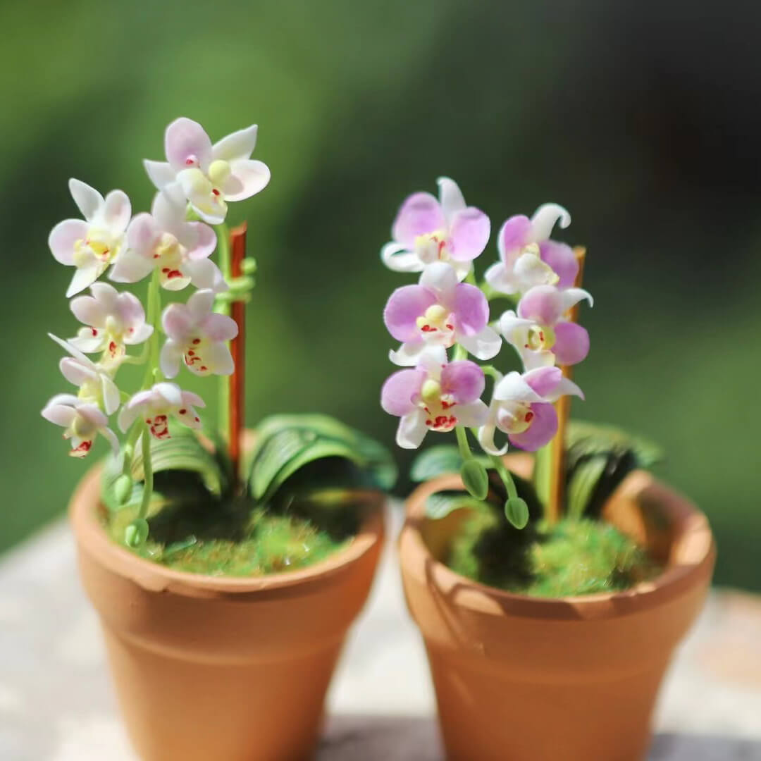 Dollhouse Miniature Phalaenopsis Orchid Handmade Clay Flowering Plant in Pot is a unique design that incorporates the beauty, style, and grace of a real Phalaenopsis orchid&nbsp;with its own, original and miniature twist!