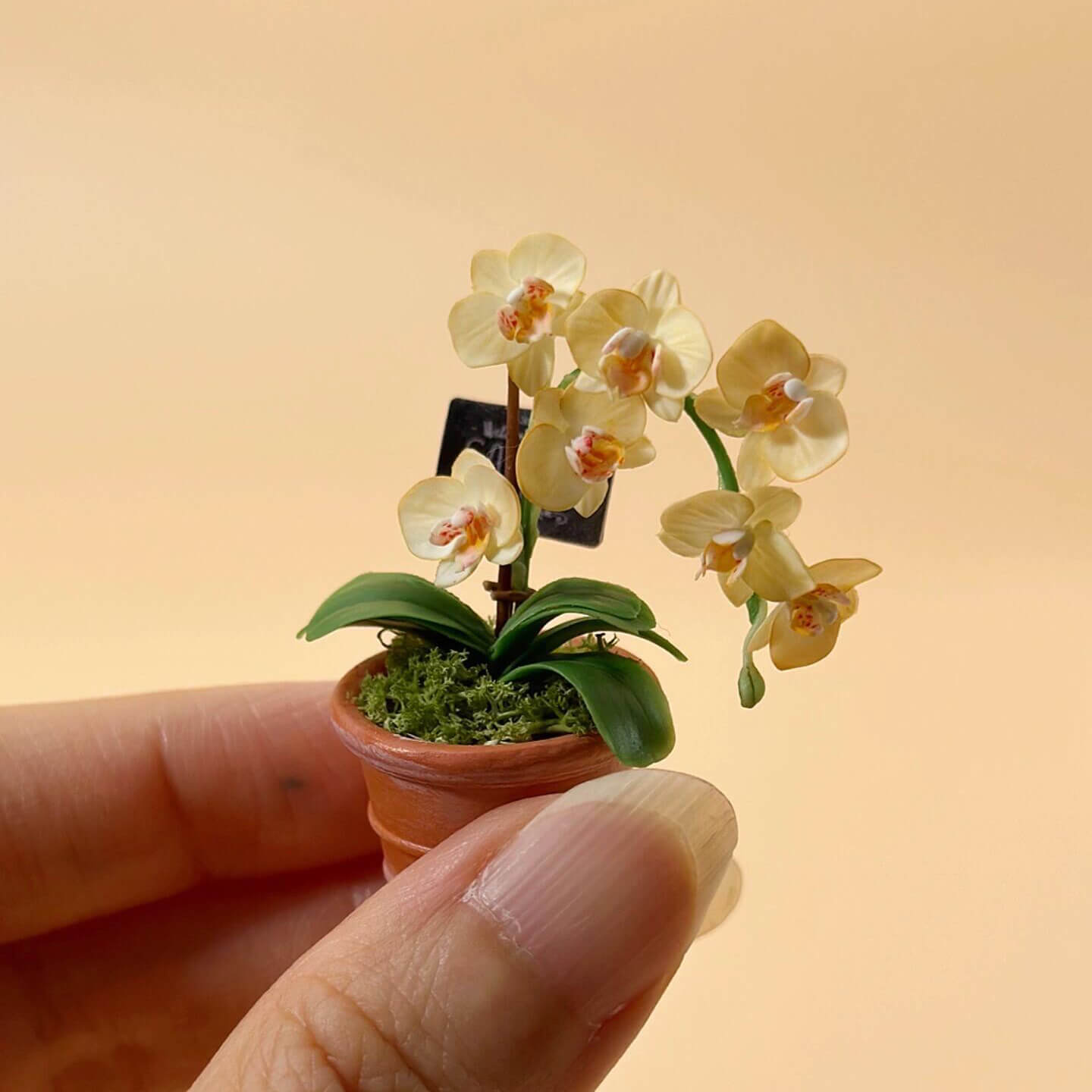 If you love orchids and want to place a tiny flower in your dollhouse this work is for you. The stem is malleable and can be shaped. Material: Handmade from Clay Miniature for dolls, dollhouses, roomboxes. Suitable for Blythe, Barbie, Paola,and other dolls with a height of 25-40cm (10-15.8 inches).