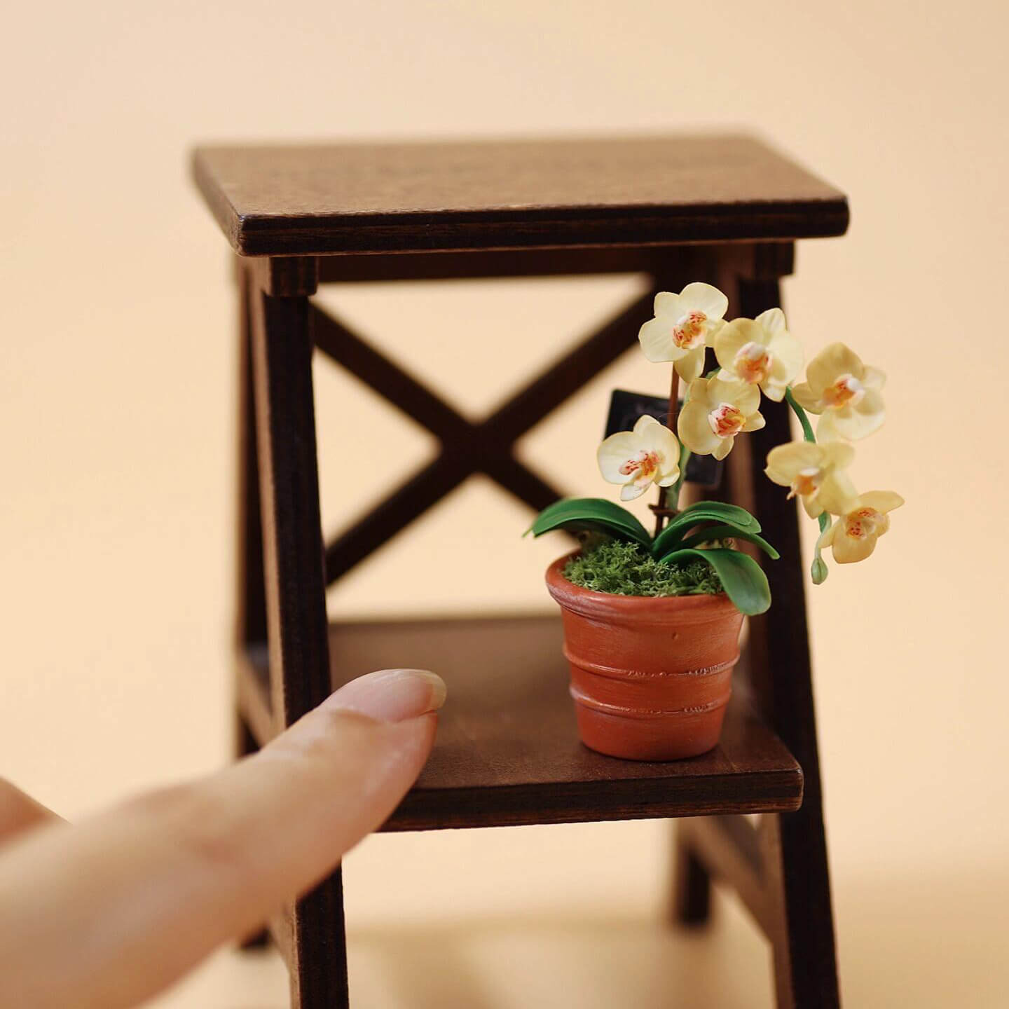 If you love orchids and want to place a tiny flower in your dollhouse this work is for you. The stem is malleable and can be shaped. Material: Handmade from Clay Miniature for dolls, dollhouses, roomboxes. Suitable for Blythe, Barbie, Paola,and other dolls with a height of 25-40cm (10-15.8 inches).