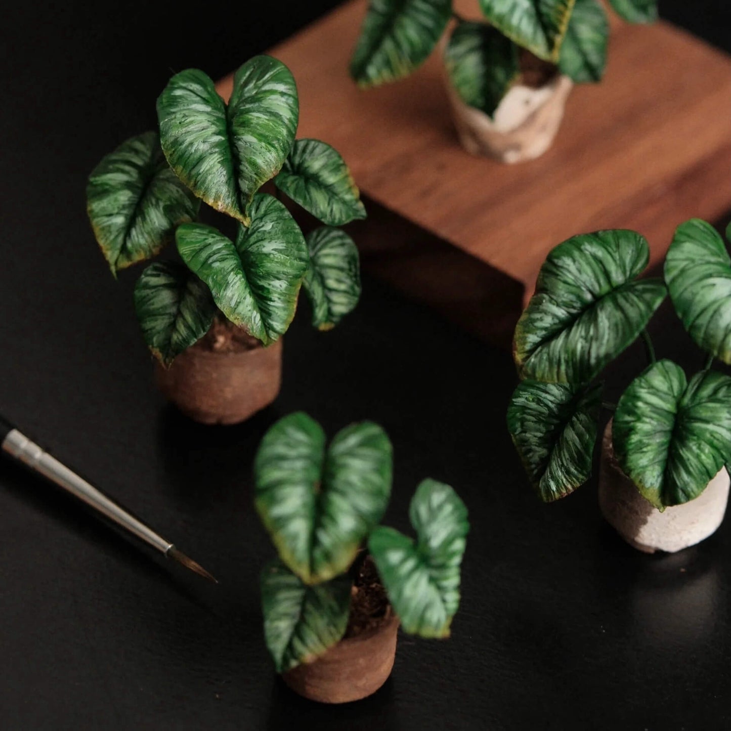 Philodendron Pastazanum Silver is a rare and beautiful terrestrial Aroid which features bi-color heart shaped leaves with green cylindrical petioles. Scale: 1:6; 1:12  Material: Handmade from Clay  Size: 5-8 Leaves