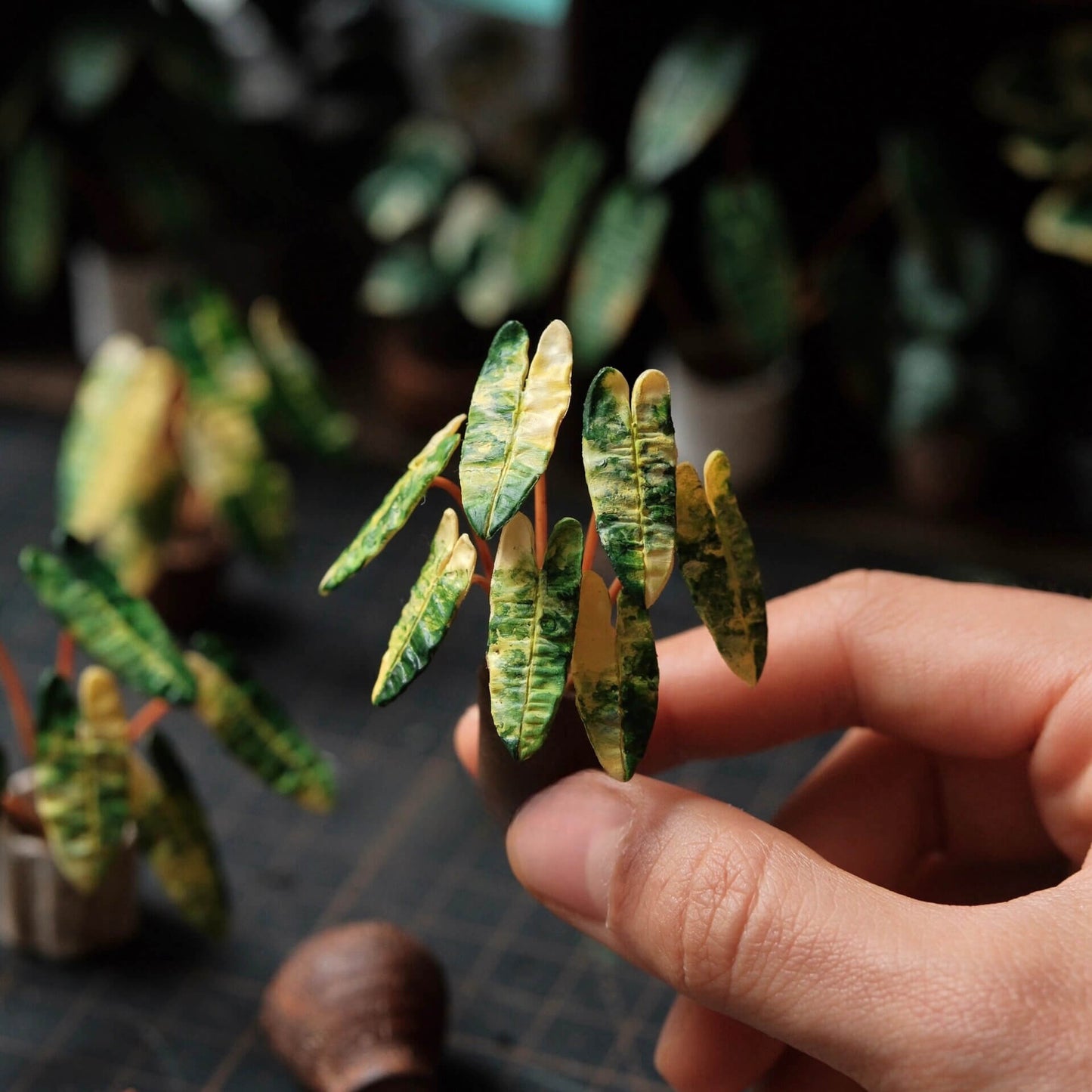 Philodendron Billietiae Variegated is a stunning variety of the popular tropical plant known for its vibrant, variegated leaves. Scale: 1:6; 1:12  Material: Handmade from Clay  Height: 4-6cm≈1.58-2.36in