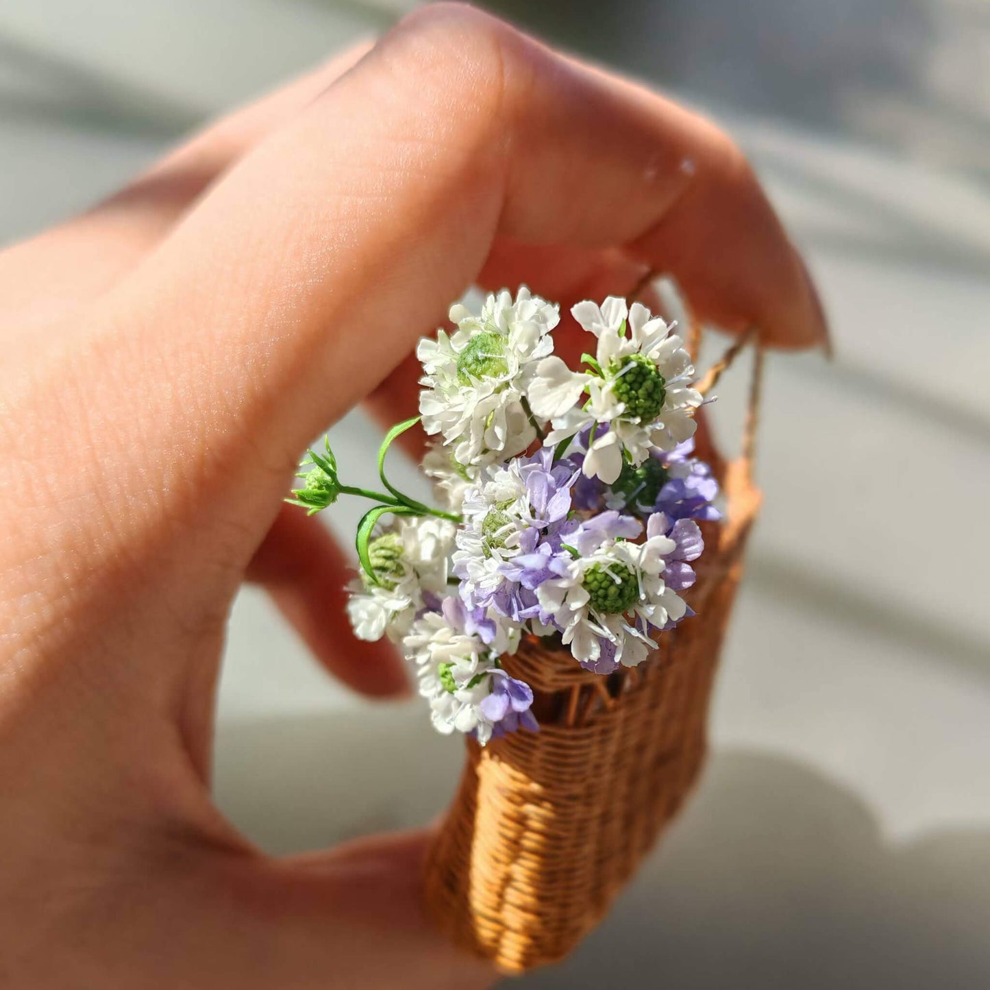 Miniature for dolls, dollhouses, roomboxes. Suitable for Blythe, Barbie, Paola and other dolls. Common names: Pincushion Flowers Scientific Name: Scabiosa