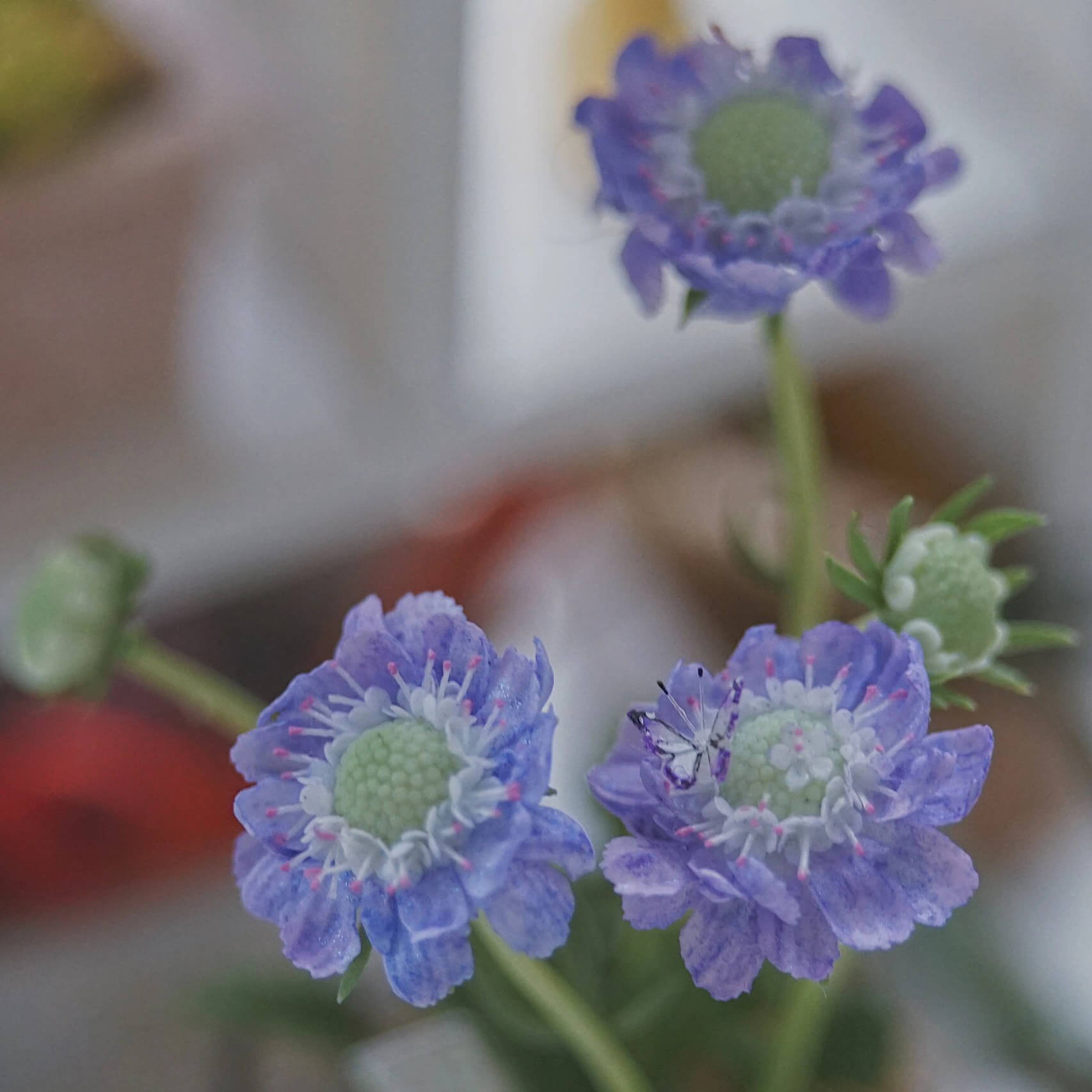 Scabiosa, also called pincushion flower, has a delicate appearance with whimsical, frilly skirts of petals and long, wiry stems—perfect for cutting and arranging in bouquets.  Material: Handmade from Clay