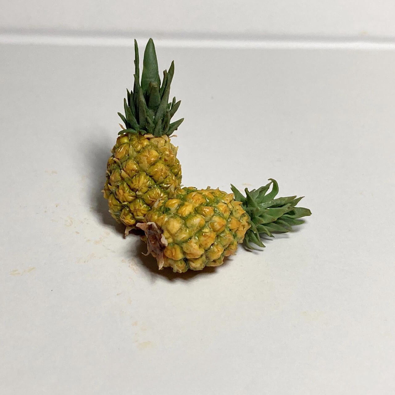 Enhance your dollhouse with these meticulously crafted miniature pineapple. These miniature pineapple are made with attention to detail, ensuring durability and a lifelike appearance. The intricate details and vibrant colors make them stand out as realistic and attractive dollhouse food items.