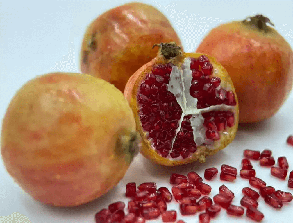 This miniature fruit pomegranate would be a wonderful addition to any doll's house kitchen or dining room table. Material: Polymer Clay This item contains one pomegranate, one opened pomegranate and some seeds.