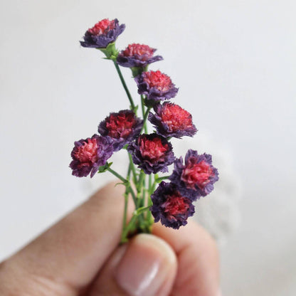 Miniature for dolls, dollhouses, roomboxes. Suitable for Blythe, Barbie, Paola and other dolls with a height of 25-40cm (10-15.8 inches). Common names: Wild Horse Carnations; Clove pink Scientific Name: Dianthus caryophyllus Material: Handmade from Clay Size: 6-7cm / 2.36-2.76in