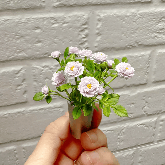 The flowers of Rainy Blue Climbing Rose are lavender, it is a very rare cool-toned climbing rose variety. Miniature for dolls, dollhouses, roomboxes. Suitable for Blythe, Barbie, Paola,and other dolls with a height of 25-40cm (10-15.8 inches). Scale: 1:6; 1:12 Material: Handmade from Clay