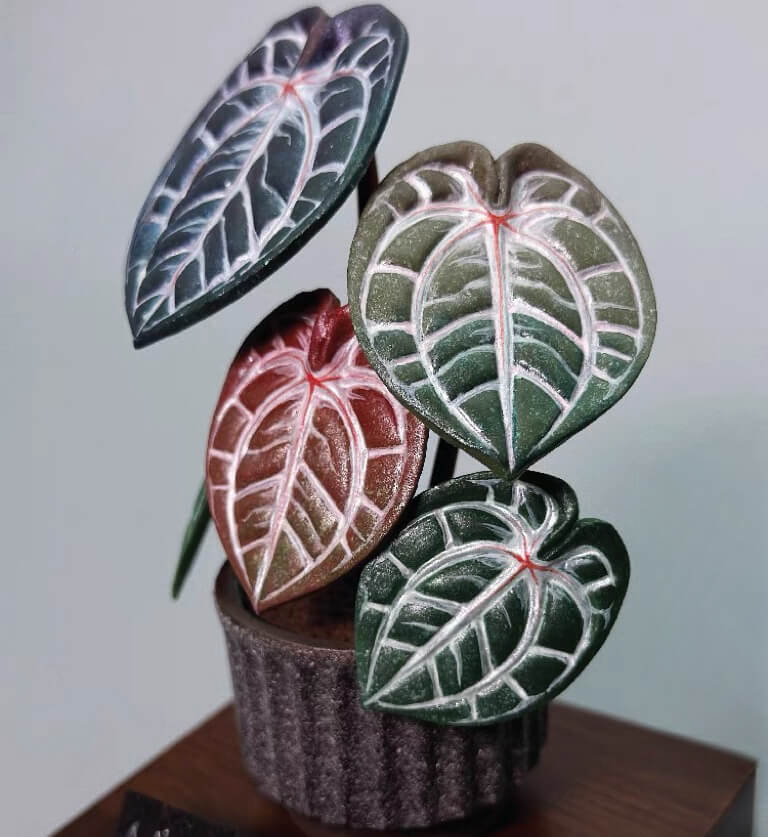 This is a beautiful Anthurium hybrid that was originally bred by Dr. Block in collaboration with Tezula Plants. It is famous for the color of its emergent leaves, which can range from crimson red to a royal purple color.  Material: Handmade from Clay