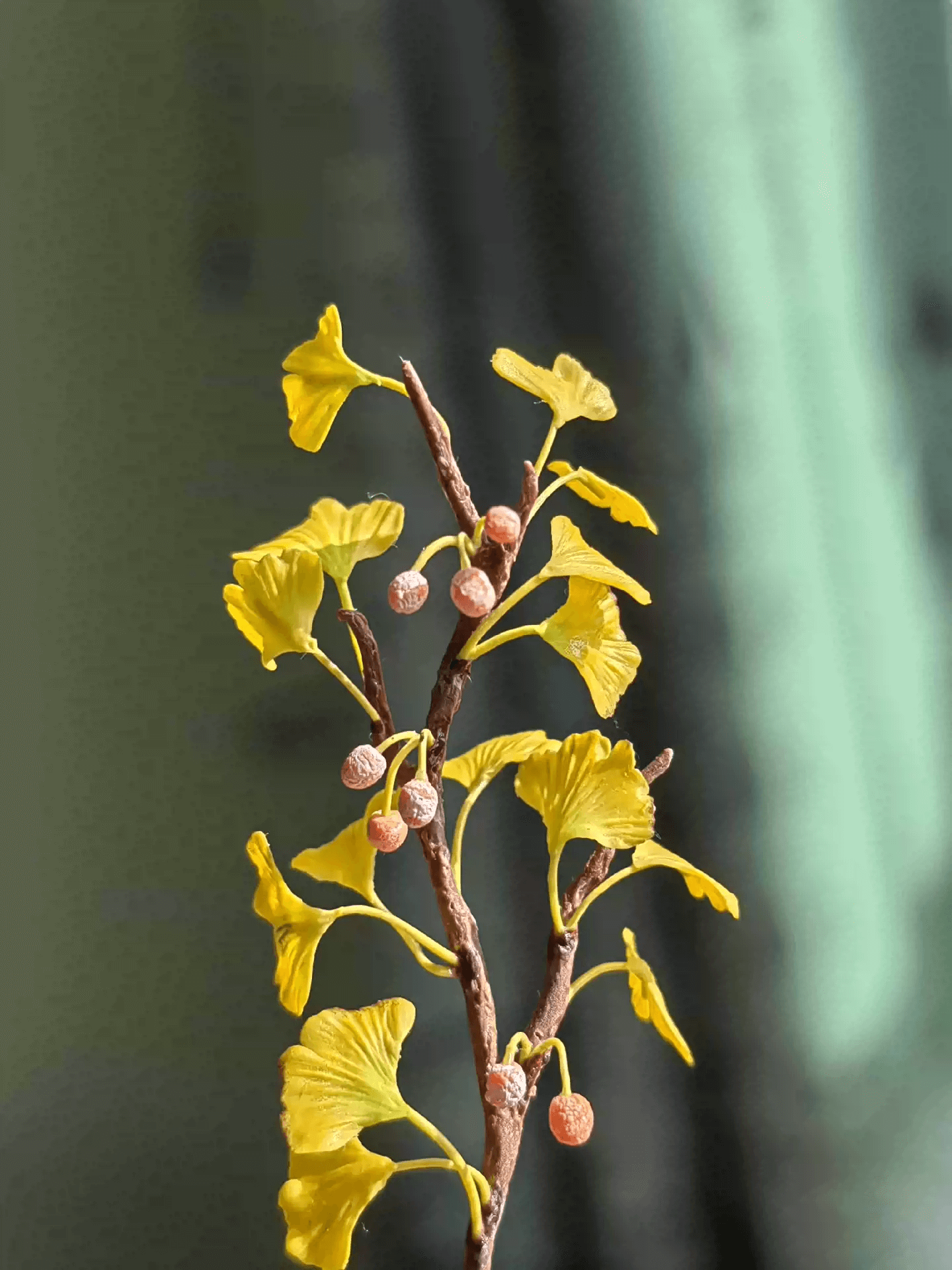 Ginkgo biloba, or maidenhair, is a tree native to China that has been grown for thousands of years for a variety of uses.  Dollhouse Garden Plants for decoration.