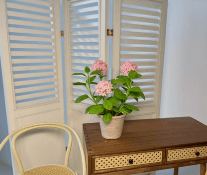 Hydrangeas are deciduous shrubs with flowers in terminal, round or umbrella-shaped clusters in colors of white, pink, or blue, or even purple.  Dollhouse Garden Plants Handmade from Clay.