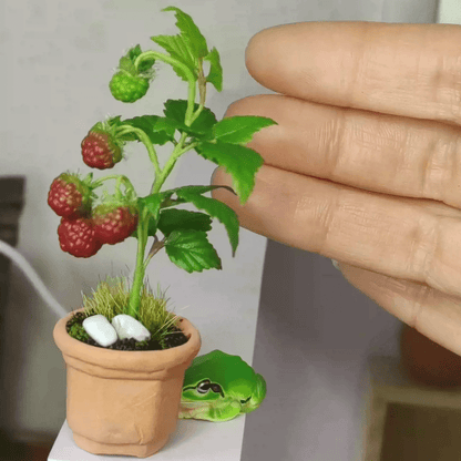 Rubus idaeus is the quintessential raspberry, spreading quickly to form large thickets and fruiting generously. Raspberries will grow in a variety of soil conditions and are very resilient to drought, making them a hardy choice for naturalizing and edible plant gardens.  Material: Handmade from Clay