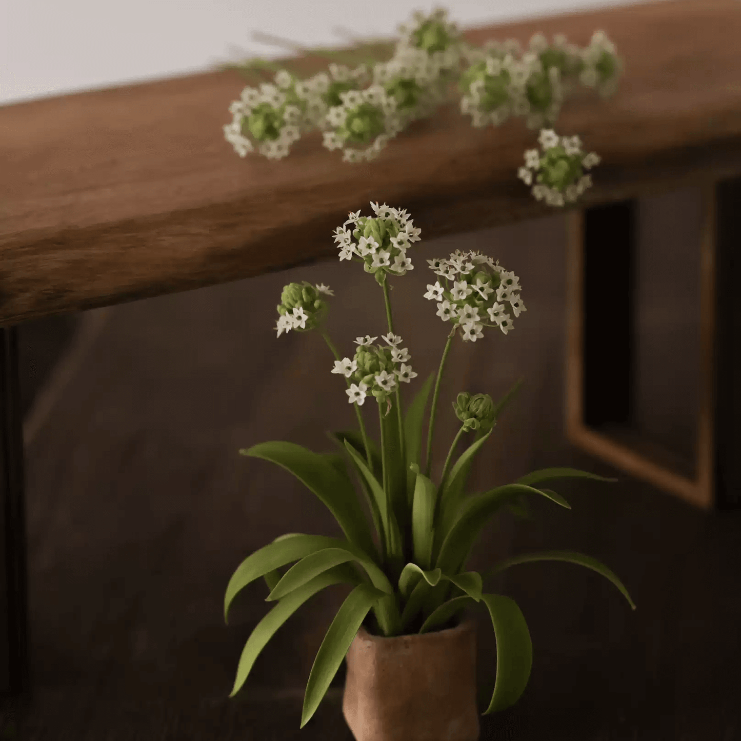 Miniature Star of Bethlehem Velvet Bunch Handmade Clay Flower Bouquets