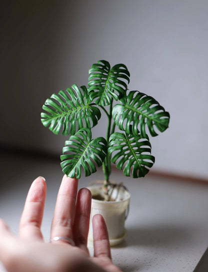 Swiss Cheese Plant, Monstera Deliciosa, is a popular houseplant. Miniature for dolls, dollhouses, roomboxes. Suitable for Blythe, Barbie, Paola and other dolls with a height of 25-40cm (10-15.8 inches). Material: Air Dry Clay