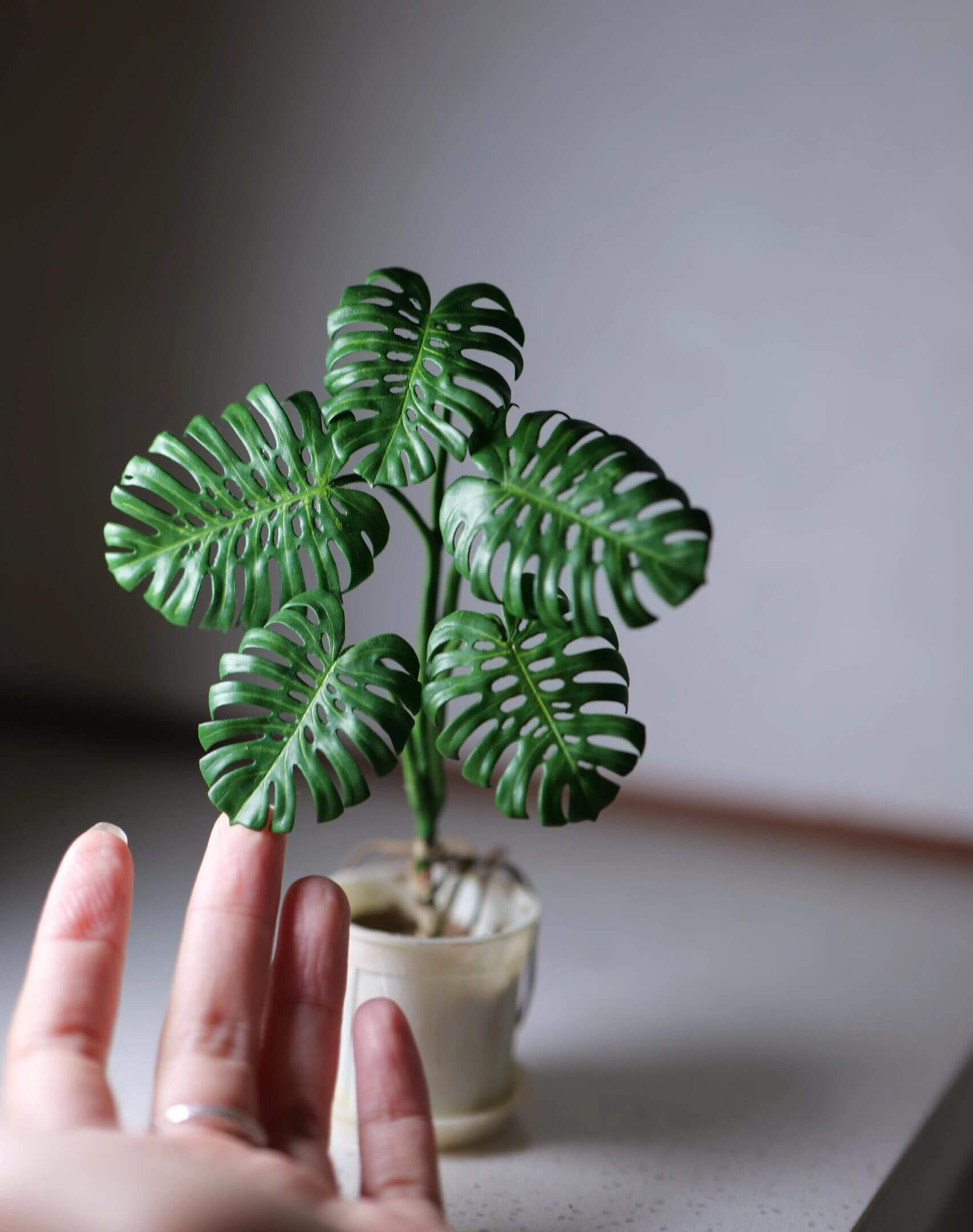 Swiss Cheese Plant, Monstera Deliciosa, is a popular houseplant. Miniature for dolls, dollhouses, roomboxes. Suitable for Blythe, Barbie, Paola and other dolls with a height of 25-40cm (10-15.8 inches). Material: Air Dry Clay