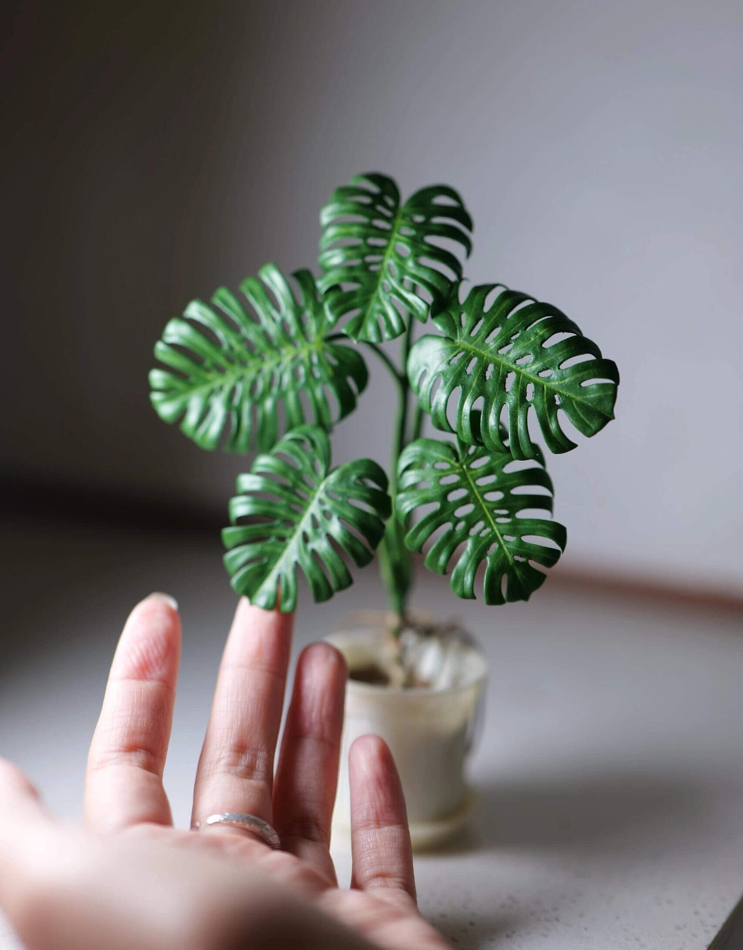 Swiss Cheese Plant, Monstera Deliciosa, is a popular houseplant. Miniature for dolls, dollhouses, roomboxes. Suitable for Blythe, Barbie, Paola and other dolls with a height of 25-40cm (10-15.8 inches). Material: Air Dry Clay