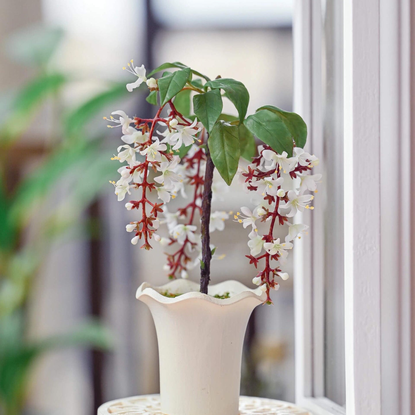 Clerodendrum wallichii, commonly called Wallich's glory-bower, bridal veil, or nodding clerodendron, is a medium to large sized shrub native to southern Asia. Miniature for dolls, dollhouses, roomboxes. Suitable for Blythe, Barbie, Paola and other dolls with a height of 25-40cm (10-15.8 inches).