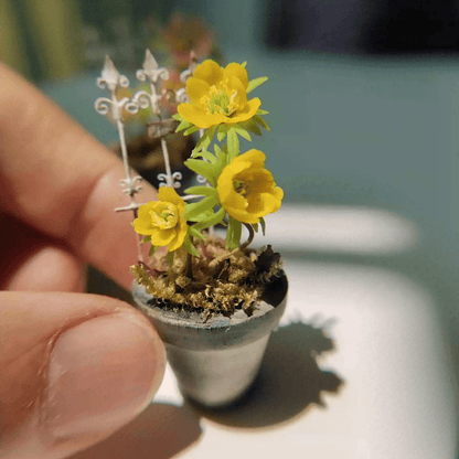 Winter Aconite (Eranthis hyemalis) is a low-maintenance tuberous perennial that blooms in rounded clumps in late winter or early spring. Material: Handmade from Clay and Wire.